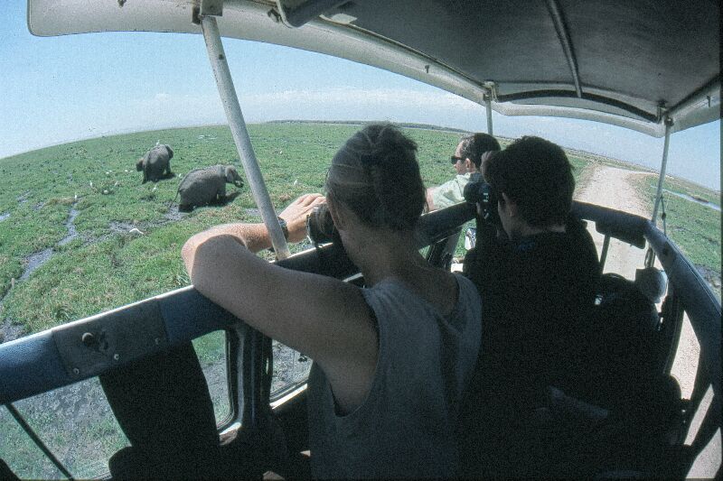 Amboseli