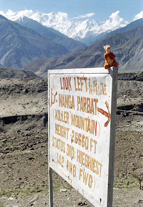 Teigertje voor de Nanga Parbat
