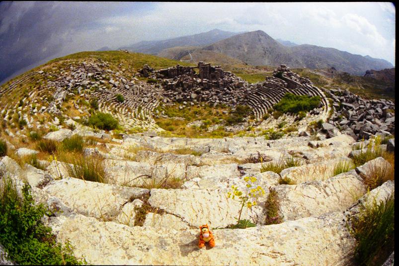 Teigertje in Sagalassos