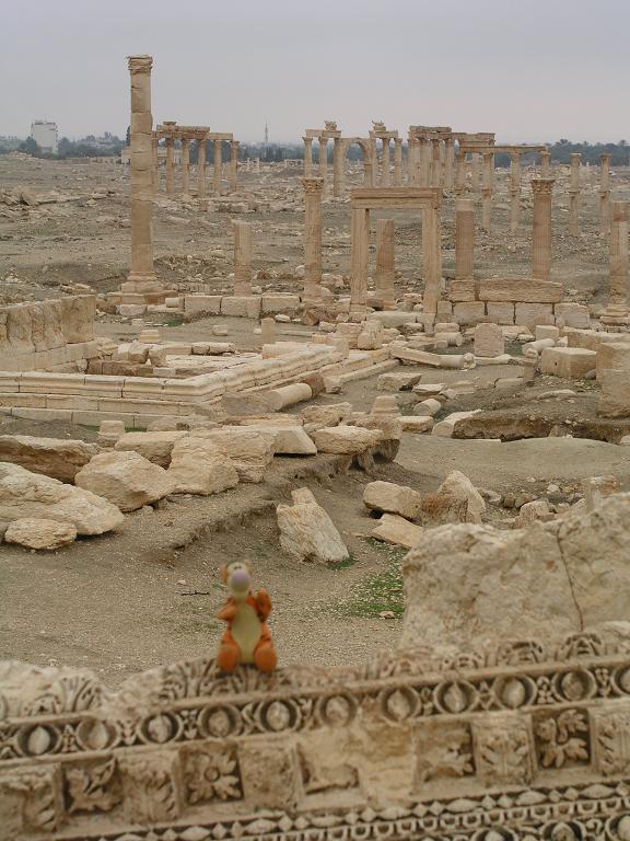 Teigetje in Palmyra