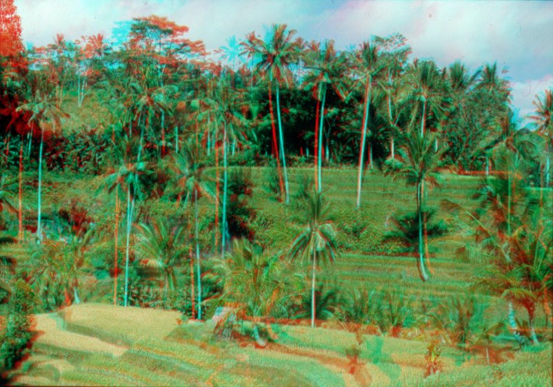 Bali