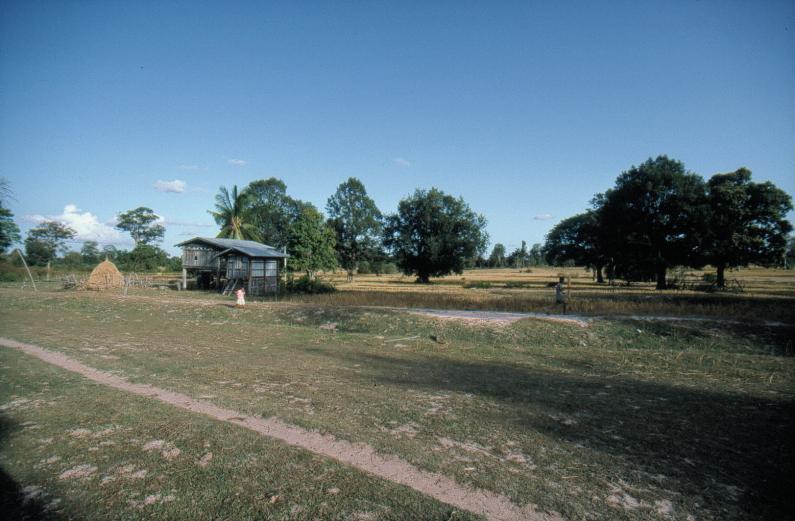 Countryside